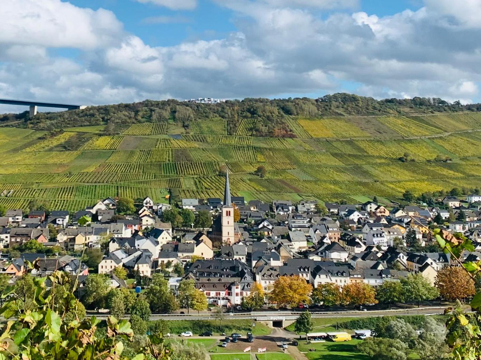 Weinhof Michael Morbach Hotell Zeltingen-Rachtig Eksteriør bilde